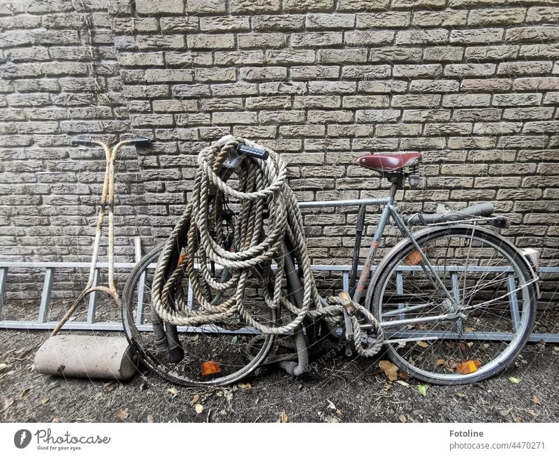 Leiter, Seil, Fahrrad und so bilden hier ein spannendes Gartengerümpelstillleben. Sattel Reifen Fahrradreifen Speichen Rad Verkehrsmittel Farbfoto Metall Tag