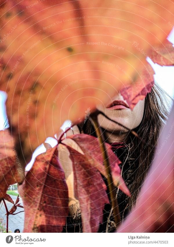 Lippen versteckt zwischen Herbstblättern Mund Frau Gesicht Auge schön Lippenstift Erwachsene Schminke feminin Mensch obskur verborgen Farbfoto herbstlich