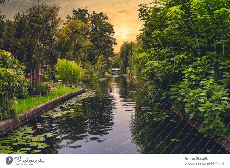 die Kanäle von Neu-Venedig bei Berlin Friedrichshagen am Abend schön Brücke Windstille Kanal Europa Deutschland grün heimwärts idyllisch Landschaft Lifestyle