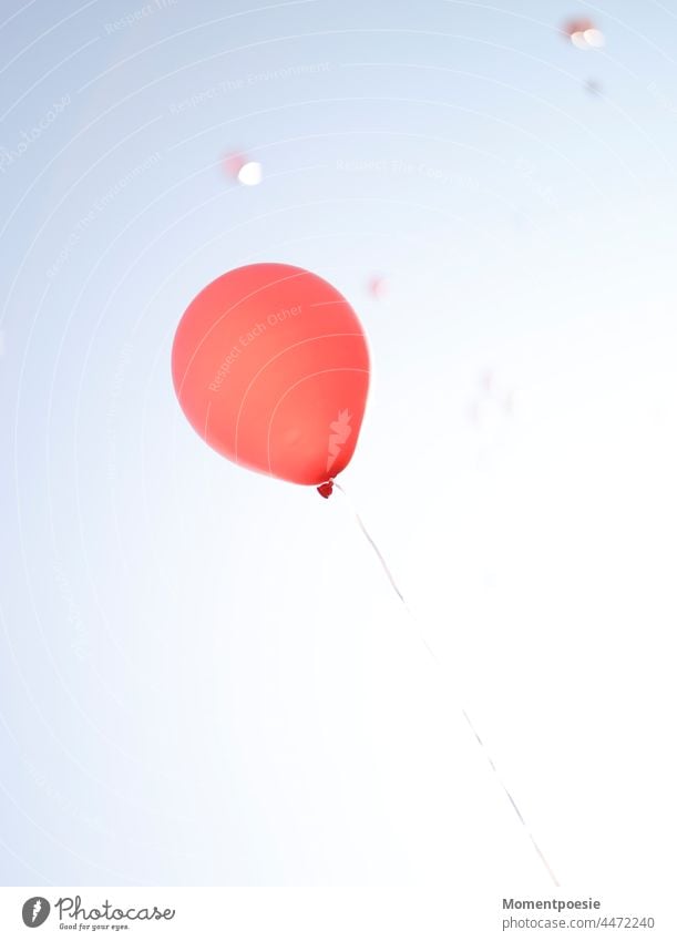 fliegender roter Luftballon Freiheit frei fliegt blau Himmel Religion Glaube Wind windig hoch hochsteigen Flug wolkenlos Glück glücklich aufwärts aufsteigen