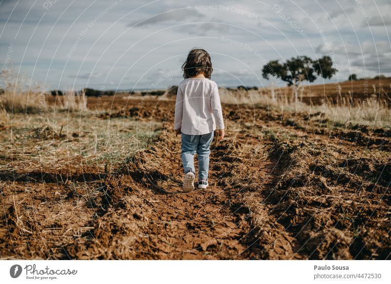Rückansicht Mädchen auf gepflügtem Weg Kind laufen 1-3 Jahre Kaukasier eine Person der Weg nach vorn Mensch Farbfoto Frau Menschen Kindheit erkunden Herbst