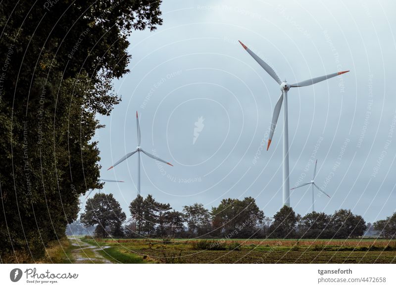 Windturbinen windenergieanlage Windenergie Windrad Windkraftanlage umweltfreundlich Erneuerbare Energie Umweltschutz Energiewirtschaft Elektrizität Himmel