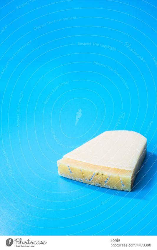 Ein Stück schimmeliger Parmesan Käse auf einem blauen Hintergrund Italienisch isoliert ungenießbar verdorben Nahaufnahme Schimmel ungesund traditionell