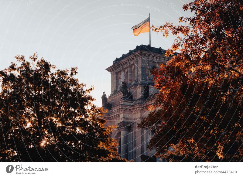 Reichstag am Morgen im Herbst III Berlin-Mitte Sandstein Beton Zentralperspektive abstrakt Muster Strukturen & Formen Schönes Wetter Urbanisierung trendy