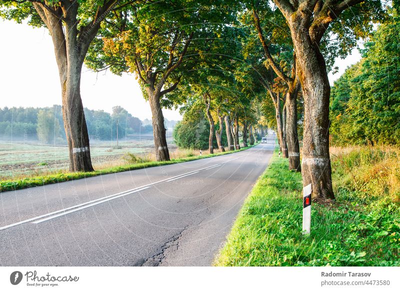 neue asphaltierte Straße im Wald Asphalt PKW Ausflug Laufwerk Sommer reisen Land Autobahn Reise grün Natur im Freien Landschaft leer Ansicht Baum Weg Umwelt