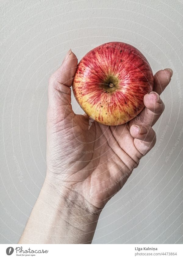 Hand hält einen Apfel Frucht Gesundheit rot Gesunde Ernährung Lebensmittel Bioprodukte Farbfoto Vegetarische Ernährung lecker frisch Diät Essen Vitamin