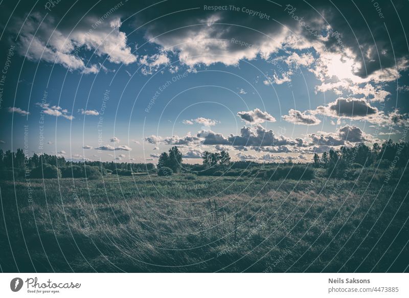 Lettland Landschaft mit Wolken Wiese und Wald in der Ferne, grün blau Vintage-Look Anziehungskraft Hintergrund schön Schönheit Blauer Himmel Cloud wolkig Farbe