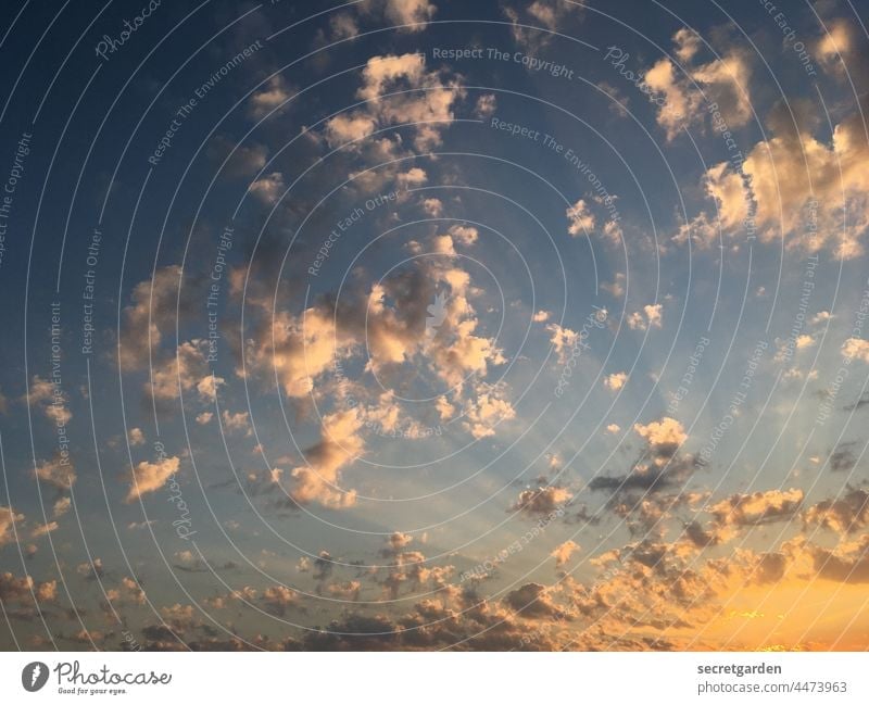 [Teufelsmoor 2021] himmelhochjauchzend Himmel Jenseits Himmel (Jenseits) Menschenleer Wolken Froschperspektive Wetter Sonnenaufgang Außenaufnahme Klima Farbfoto