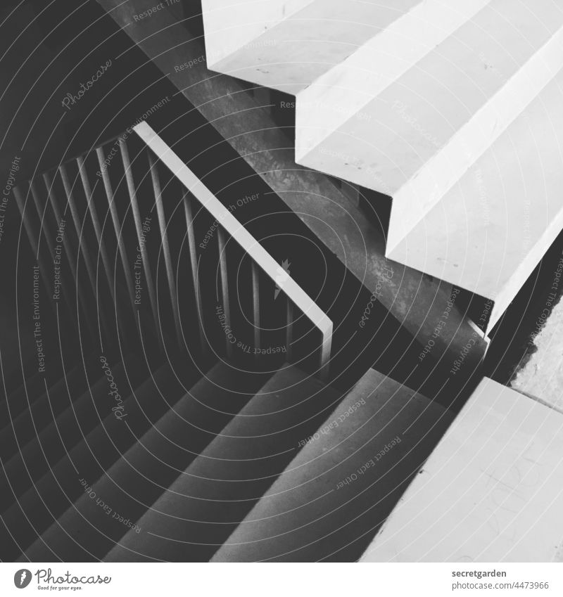 rauf und runter I Schwarzweißfoto weiss schwarz Treppe Architektur architektonisch Architekturfotografie kahler Baum Baustelle Moderne Architektur