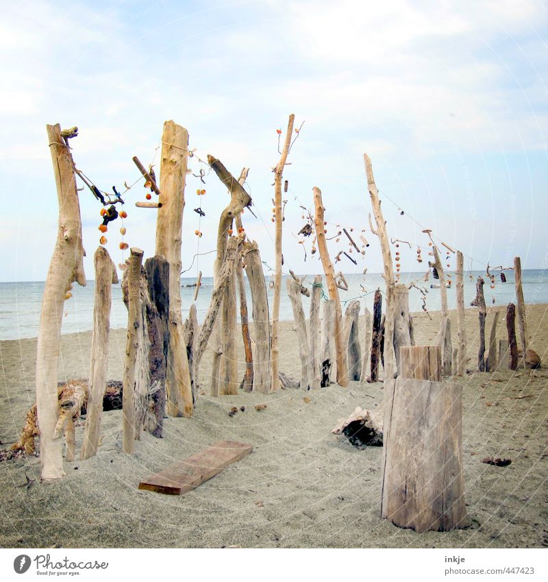 Was vom Sommer übrig blieb Kunst Kunstwerk Skulptur Umwelt Sand Wasser Himmel Wolken Schönes Wetter Ast Baumstamm Stock Küste Strand Meer Mittelmeer Muschel