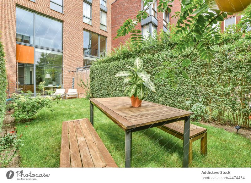 Tisch mit Bänken im Hinterhof Bank Pflanze Blume Rasen Hof Terrasse Flora eingetopft Hecke grün Gras hölzern Dekor Wachstum vegetieren Grün grasbewachsen