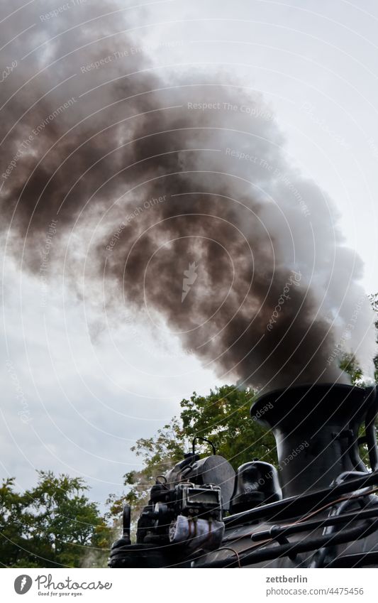 Der Rasende Roland unter Dampf zug bahn lokomotive dampflok dampflokomotive kleinbahn rasender rolend mönchgut transport rauch qualm verbrennung kessel
