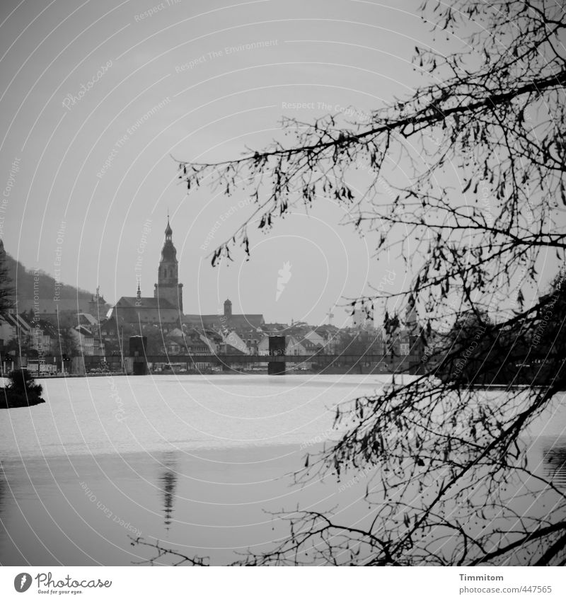 Spiegelungen | Hier und da. Umwelt Wasser Himmel Herbst Baum Fluss Neckar Heidelberg Stadt Kirche Wehrsteg ästhetisch einfach grau schwarz Gefühle ruhig Brücke