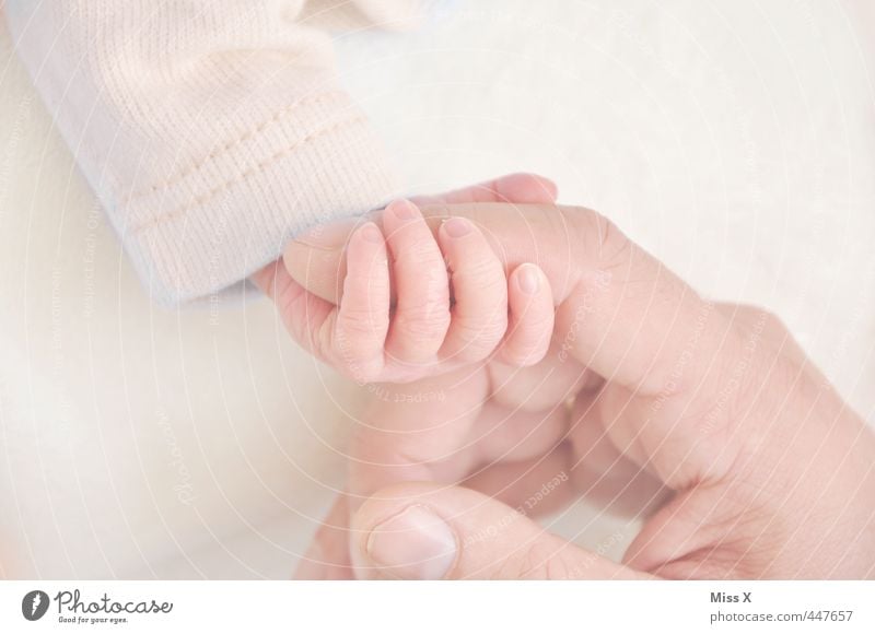 Fingerchen Mensch Baby Eltern Erwachsene Kindheit Leben Hand 0-12 Monate klein niedlich Gefühle Stimmung Glück Lebensfreude Vertrauen Schutz Geborgenheit