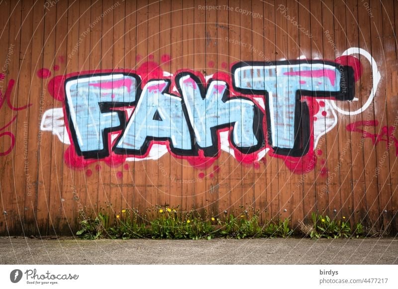 Fakt - buntes Grafitti auf einer roten Holzwand Graffiti Schriftzeichen Tatsache tatsächlich wirklich wahrheitsgemäß Fakten faktisch Streetart Jugendkultur Wort