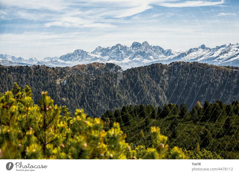 Trentino italien alpen berge bergspitzen Schneebedeckte Gipfel schneebedeckt herbst winter wald hügel bergkette Berge u. Gebirge wandern wanderung wandergebiet
