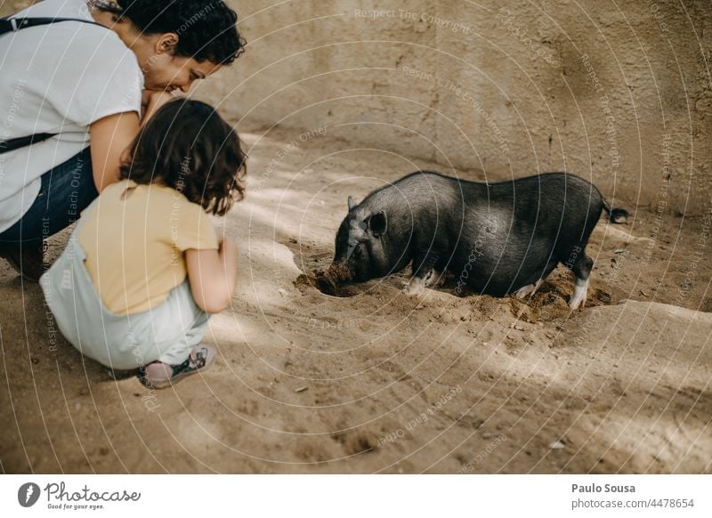 Mutter und Tochter beobachten das kleine Schwein Mutter mit Kind Kaukasier 1-3 Jahre Freizeit & Hobby Liebe Tierliebe Zusammensein Zusammengehörigkeitsgefühl