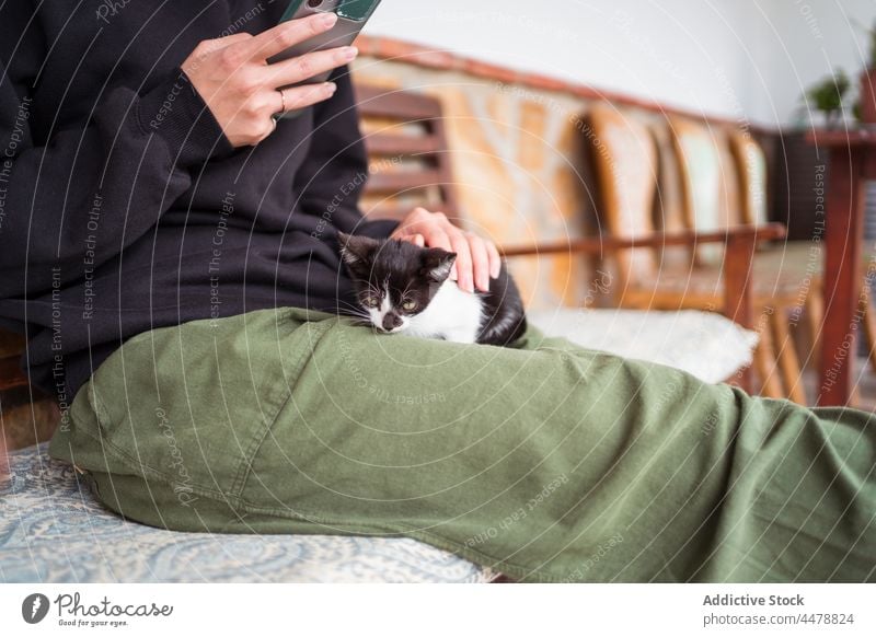 Anonyme asiatische Frau mit Kätzchen, die ein Selfie mit ihrem Smartphone macht Katzenbaby Moment Gedächtnis Streicheln Bank benutzend Apparatur Besitzer