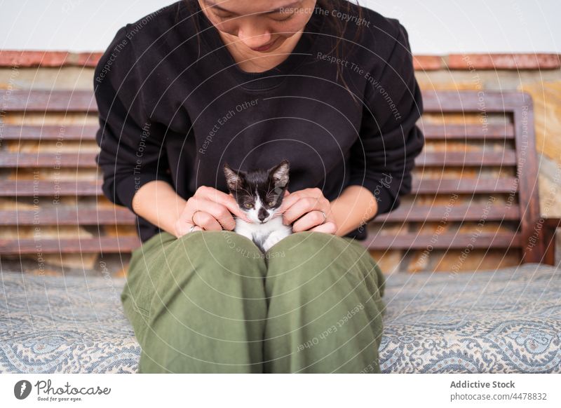 Anonyme Frau, die ein Kätzchen auf einer Bank umarmt Umarmen katzenhaft Tier Haustier charmant interagieren ruhen Besitzer Babykatze Maul Begleiter heimisch