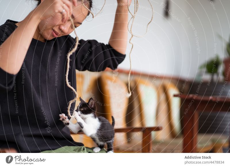 Crop Asian Besitzer spielt mit Kätzchen zu Hause spielen katzenhaft Tier Haustier Spaß haben Seil Frau Hinterbeine aktiv spielerisch genießen Energie charmant