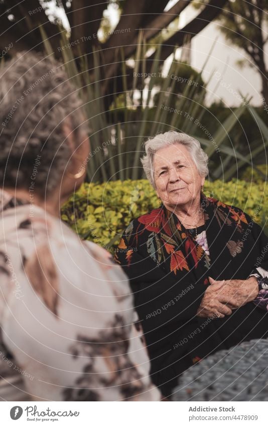 Ältere Frauen unterhalten sich im Garten Senior in den Ruhestand gehen Freund gealtert Sitzung Lächeln Rentnerin Glück sich[Akk] entspannen Lebensalter