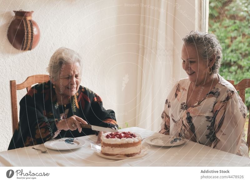 Glückliche ältere Frauen mit Kuchen geschnitten Teetrinken Sitzung teilen Freund Veranstaltung Zusammensein Dessert Lebensmittel Lächeln lecker geschmackvoll