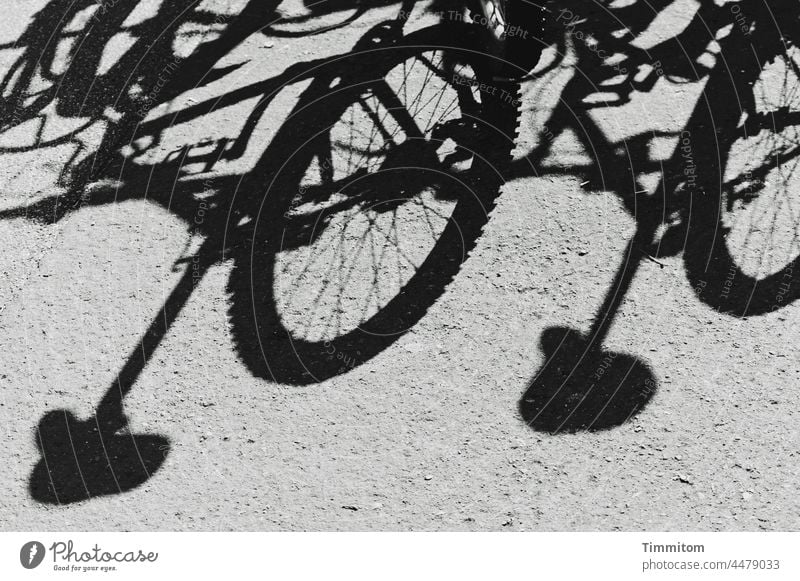 Schatten von Fahrrädern Boden Fahrradreifen Fahrradsattel Fahrradfahren Freizeit & Hobby parken Mobilität Verkehr Menschenleer Schwarzweißfoto Speichen
