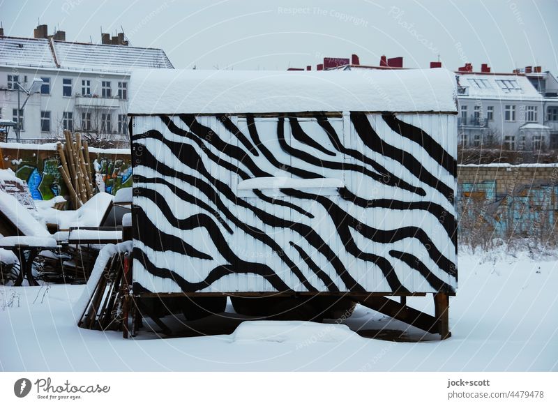 Zebrastreifen treffen auf Bauwagen im Winter mauerpark Prenzlauer Berg Berlin Vergangenheit Häuserzeile Wintertag diesig Kreativität Straßenkunst Schnee