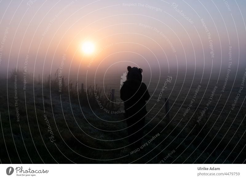 UT Teufelsmoor 2021 - Ein Bär im Moor ;-) Außenaufnahme Landschaft Osterholz-Scharmbeck Sonnenaufgang Bremen Morgendämmerung Deutschland ruhig Natur Silhouette