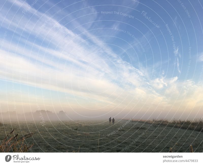 [Teufelsmoor 2021] Im Sog der Zeit Nebel Kälte Wiese Grasbüschel verschwommen Wolken Himmel Nebelschleier Stimmung Nebelmeer kalt zart Umwelt Ökosystem