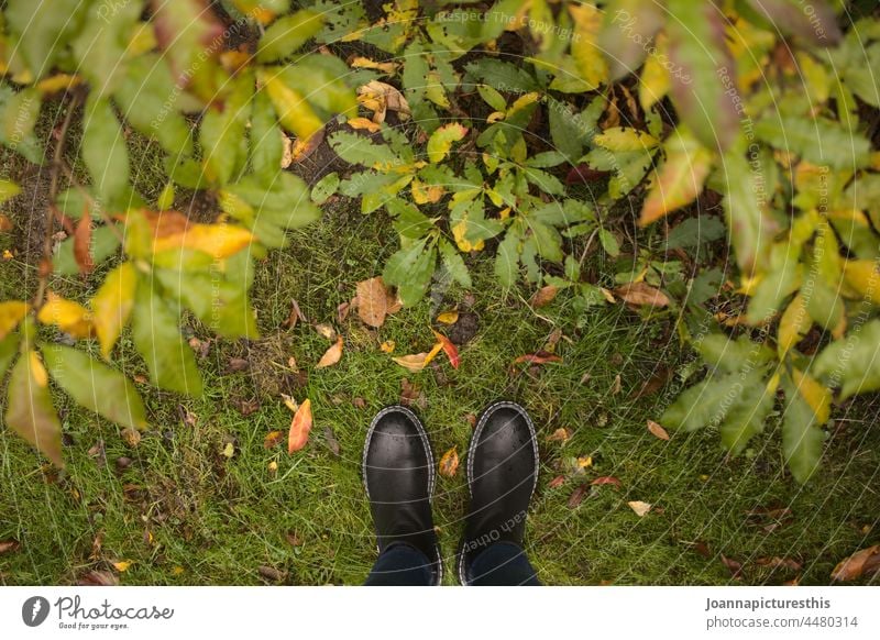Stiefel auf Gras vor Laub Schuhe Herbst herbstlich Grün (Green) laub Natur Wald Blick nach unten Herbstlaub Blätter Herbstbeginn Jahreszeiten Vergänglichkeit