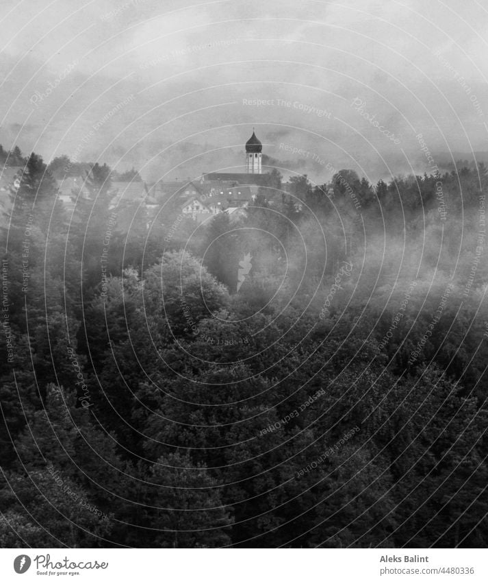 Nebel im dichten Wald auf der Alb mit einem kleinen Dorf im Hintergrund in schwarzweiß Nebellandschaft Gebirge Kleinesdorf Landschaft Außenaufnahme