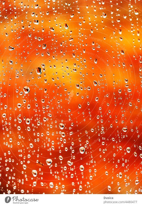 Nasses Glas mit orangefarbenem und gelbem Hintergrund nass Fenster Regen Herbst fallen Tropfen Tröpfchen Wasser