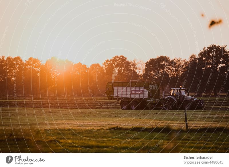Trecker mit Ladewagen bei Sonnenuntergang Traktor Landwirtschaft Feld Ernte Landschaft Außenaufnahme Wiese Maschine Farbfoto Gegenlicht Sonnenlicht Lamborghini