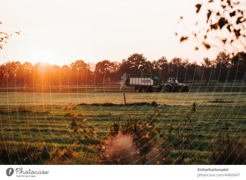 Heu einfahren bei Sonnenuntergang Trecker Landwirtschaft Traktor Feld Ernte Außenaufnahme Landschaft Wiese Lamborghini Gegenlicht ländlich landwirtschaftlich
