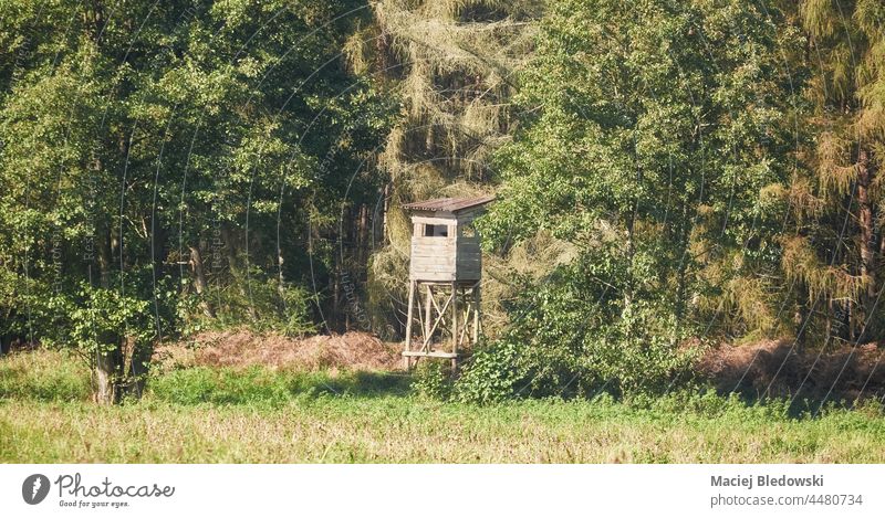 Hirschjagdturm am Waldrand, selektiver Fokus. jagen Turm Podest stehen Hirsche Feld Jagdturm Kanzel Versteck Aussichtspunkt Natur Holz im Freien Tierhaut grün