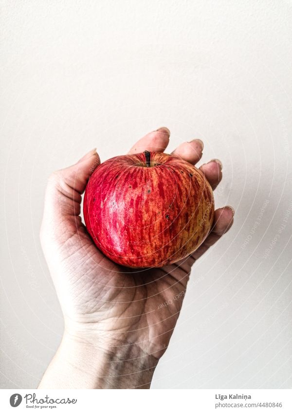 Hand hält einen Apfel Frucht Farbfoto Lebensmittel rot Ernährung Bioprodukte Gesundheit lecker frisch Vegetarische Ernährung Gesunde Ernährung Innenaufnahme süß