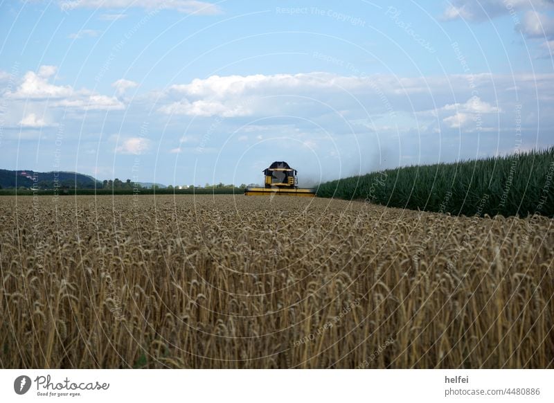 Mähdrescher auf dem Feld bei der Korn Ernte mit blauen Himmel Ackerbau Landwirtschaft Ackerland Weizen Natur Sommer Landschaft Pflanze Bauernhof Wachstum Saison