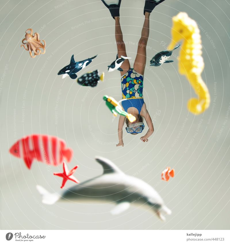 findet nemo Mensch feminin 1 8-13 Jahre Kind Kindheit Umwelt Natur Wasser Riff Tier Fisch Haifisch Schwimmen & Baden tauchen Taucherbrille Delphine Seepferdchen