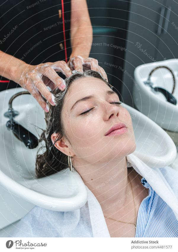 Meister wäscht dunkles Haar einer Kundin Kunde Frau Klient Friseur Waschen Salon professionell Dienst Becken Pflege schäumen Frisur Sauberkeit Prozess