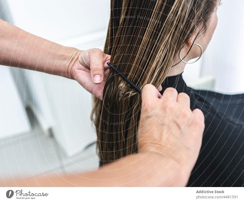 Friseurin kämmt Kunden im Salon Frauen Meister Klient Kamm Frisur Bürste Behaarung professionell Stil lange Haare Kap Prozess Arbeit Vorschein Job Haarschnitt