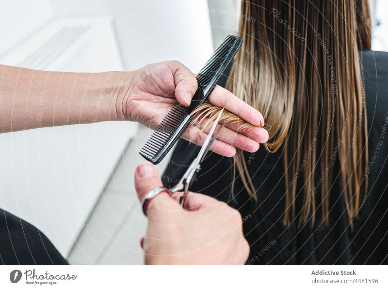 Friseur, der die Haare eines Kunden schneidet Klient Schere Salon geschnitten Instrument Behaarung Frisur Mode Dienst Meister Prozess Haarschnitt Stil