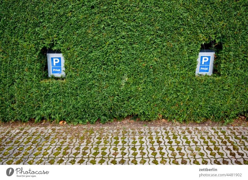 Parkplatz (privat) parken parkplatz schild verkehrsschild parkplatzschild privileg reserviert stellplatz auto kfz hecke nachbarschaft sichtschutz versiegelung