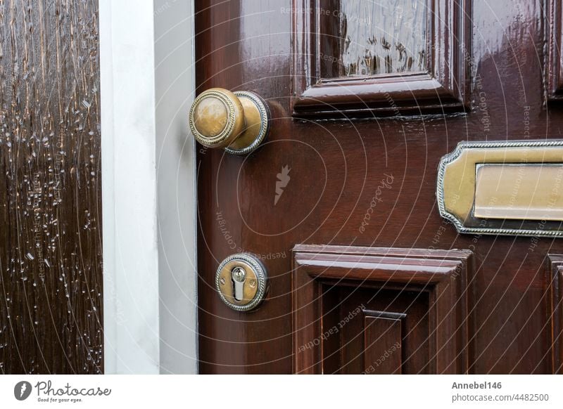 Haustür aus dunkelbraunem Holz mit traditionellem goldfarbenem Briefkasten hölzern Tür Vorderseite alt Antiquität Textur Stil klassisch golden Detailaufnahme