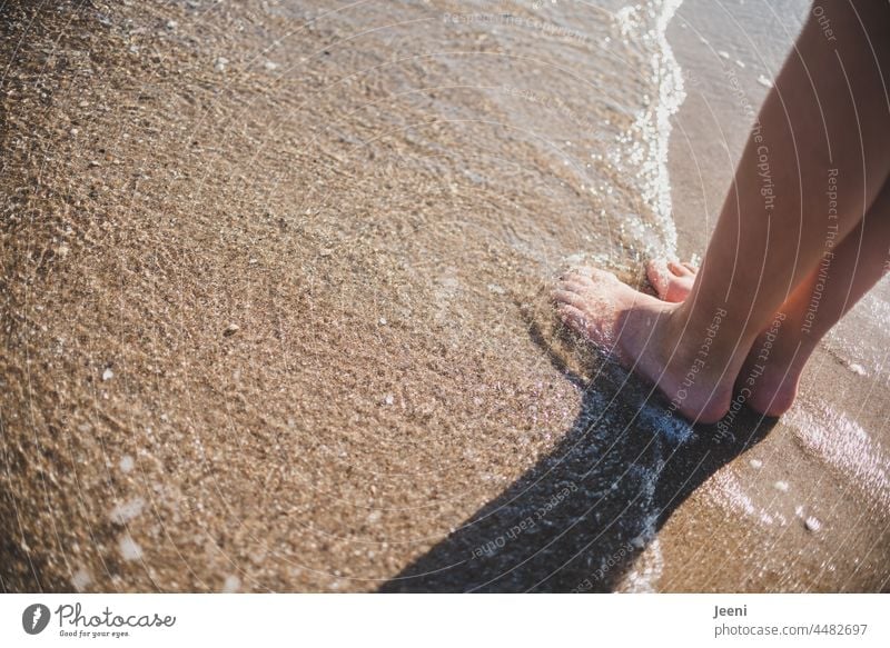 Barfuß am Strand Fuß Füße Zehen Beine Mensch Haut nackt Sand Wasser Meer nass Erfrischung Sonne Sommer Sandstrand stehen Wellen Urlaub genießen