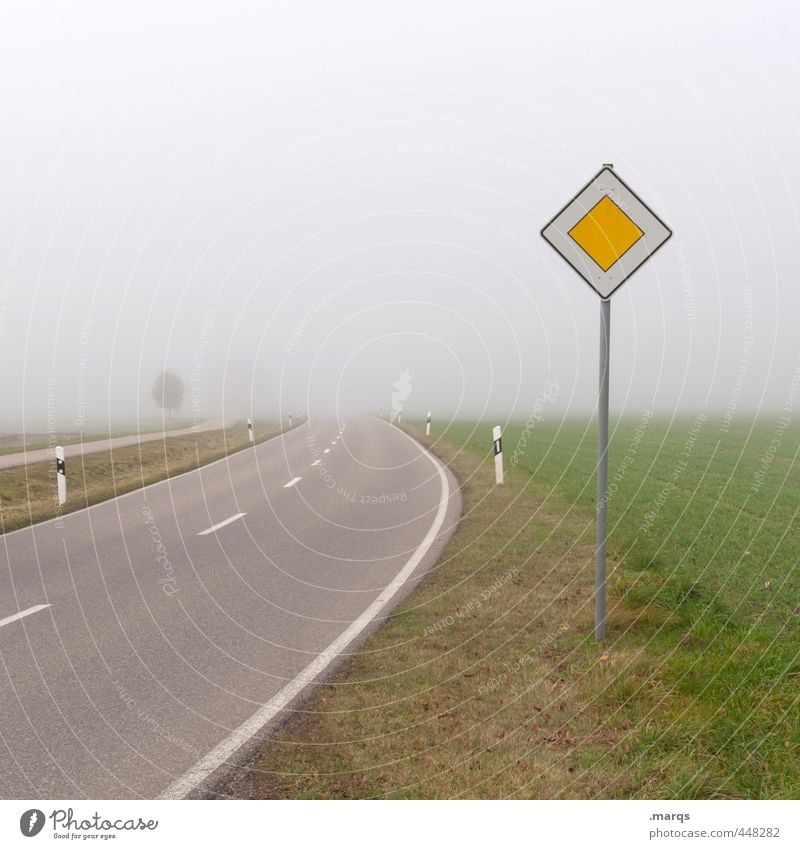 Vorfahrt Ausflug Umwelt Natur Landschaft Herbst Klima schlechtes Wetter Nebel Wiese Verkehr Verkehrswege Straßenverkehr Wege & Pfade Zeichen