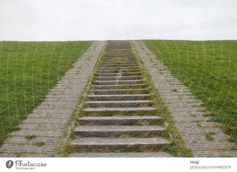 Stairway to heaven - Betontreppe führt auf eine Deichkrone, dahinter grauer Himmel Treppe Gras Wolken Weg Wiese Außenaufnahme Insel Nordseeinsel Borkum