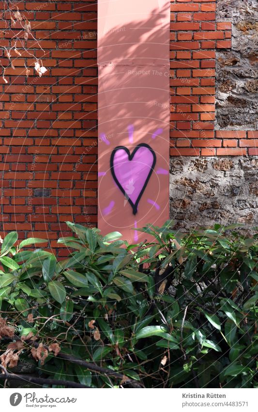 graffiti herz an der wand über einer hecke herzchen liebe streetart street art verliebt romantik romantisch mauer ziegelsteine backsteine fassade sträucher