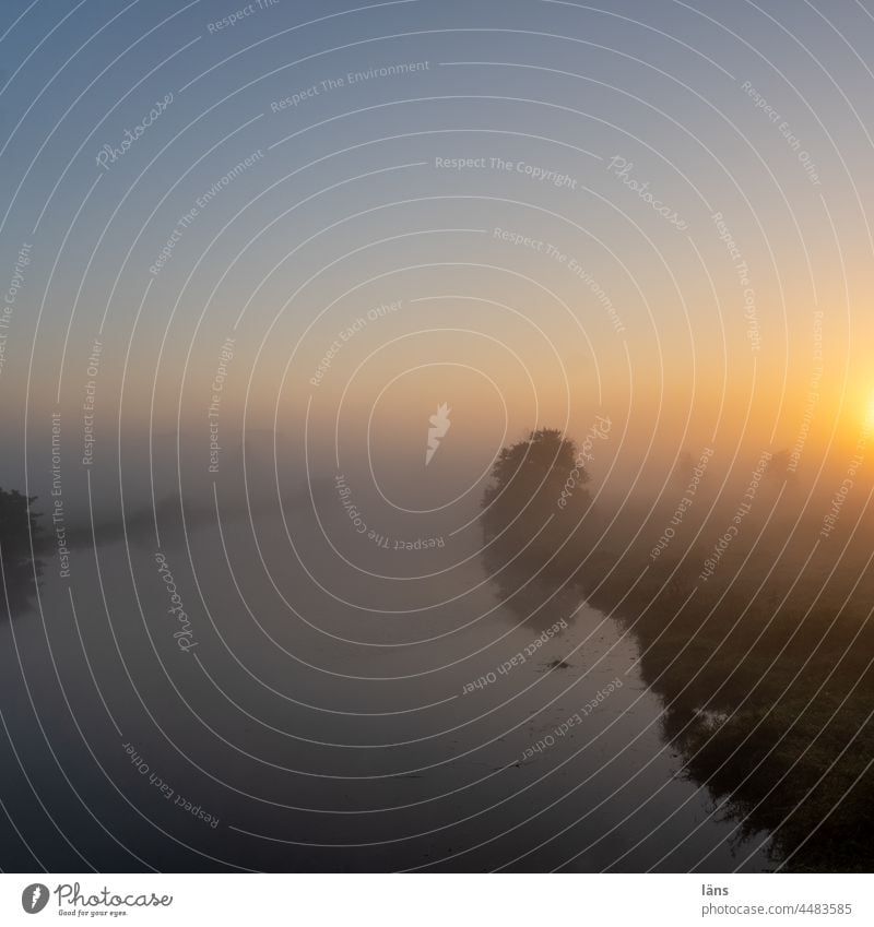 Teufelsmoor l Sonnenaufgang im Nebel Morgendämmerung Landschaft Menschenleer Gegenlicht Moor Textfreiraum oben Textfreiraum unten Natur Sonnenlicht mystisch