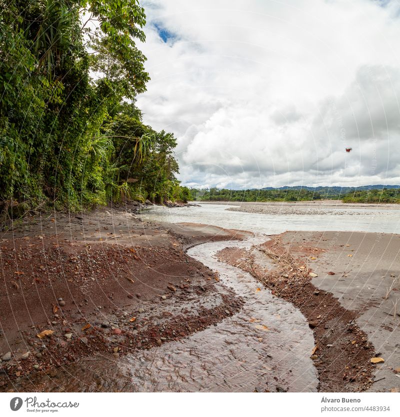 Beeindruckende Landschaft mit Bäumen und Amazonas-Regenwald am Ufer des Flusses Madre de Dios im Manu-Nationalpark Auenlandschaft Wasser Banken Hügel Wald
